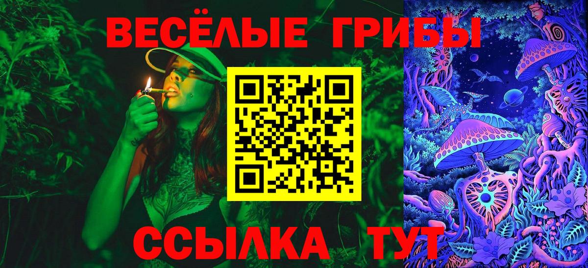 Псилоцибиновые грибы мицелий  Псилоцибиновые грибы мухоморы  Вход с VPN  цена наркотик  Омск 